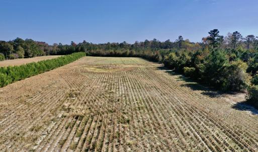 Tedder Drone 7