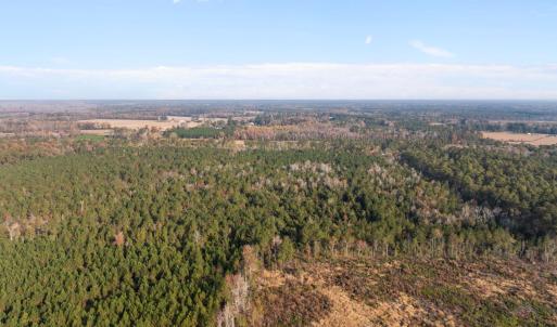 1449 Pameter Road (3)