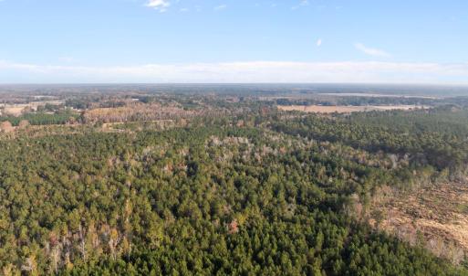 1449 Pameter Road (4)