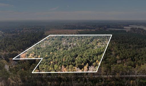 1449 Parameter Road Lot Lines