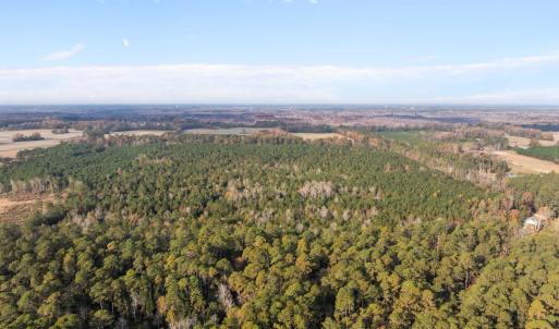 1449 Pameter Road (6)