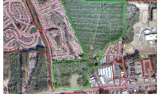 Raines Farm 148 Acres on Tax Map