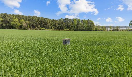 517 Queens Creek Rd (29)