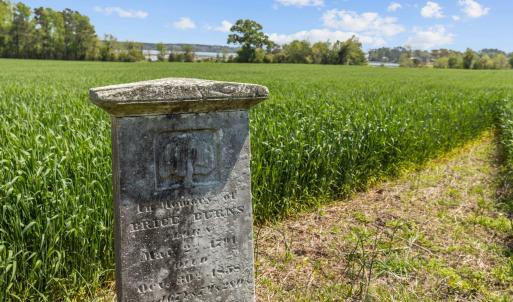 517 Queens Creek Rd (30)