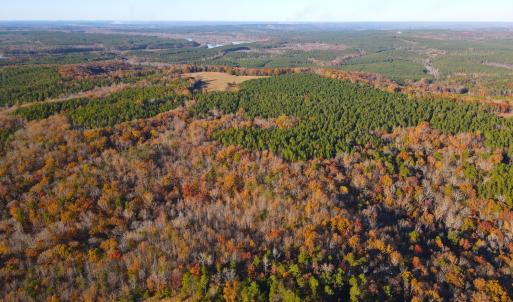 dji_fly_20251117_153550_145_176348499786