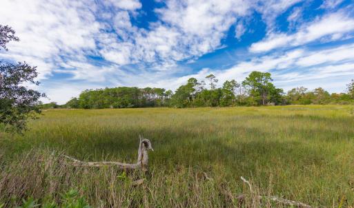 16-web-or-mls-chadwick-visuals-1-trestle