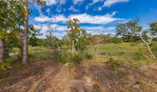 9-web-or-mls-chadwick-visuals-1-trestle-