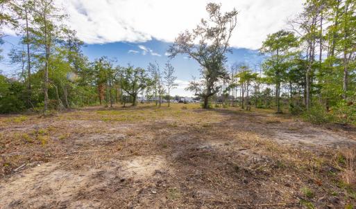 7-web-or-mls-chadwick-visuals-1-trestle-