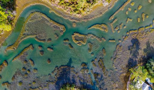 13-web-or-mls-chadwick-visuals-1-trestle