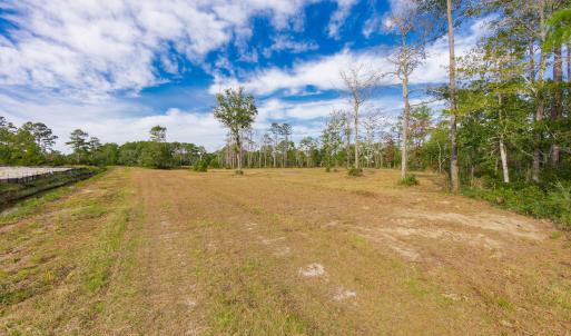 19-web-or-mls-chadwick-visuals-1-trestle