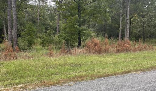Creek bend pic 3