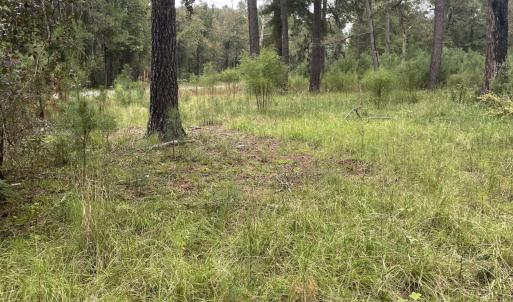 Creek bend pic 12