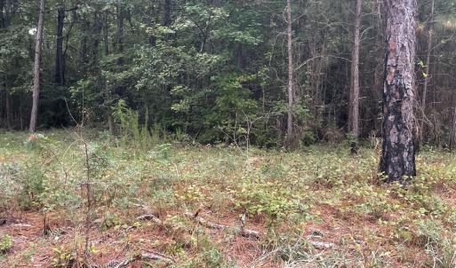 creek bend pic 17