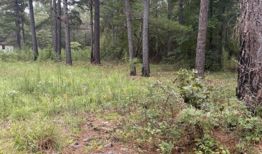 creek bend pic 16