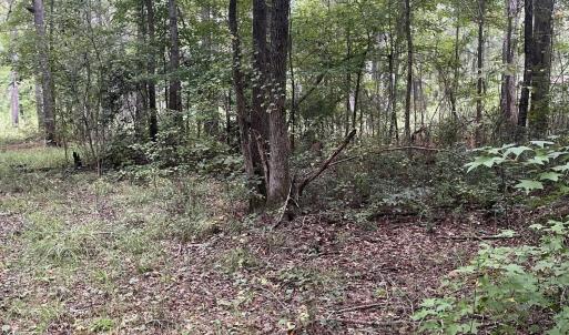 creek bend pic 24