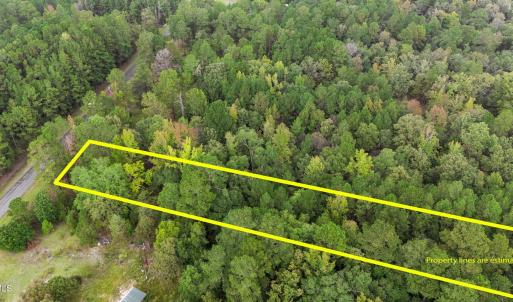 aerial lot 31 1