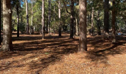 RIVER RUN PLANTATION