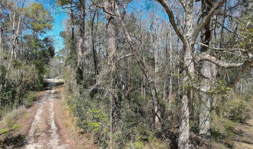View of Hollywood Street