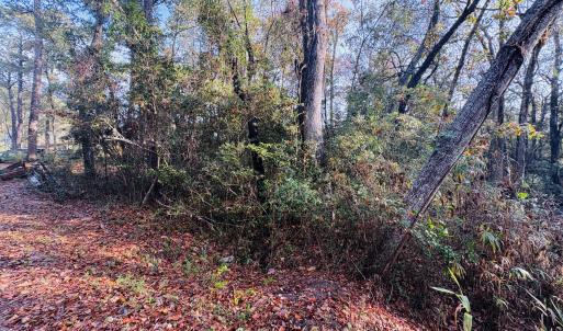 Front Elevation of Lot