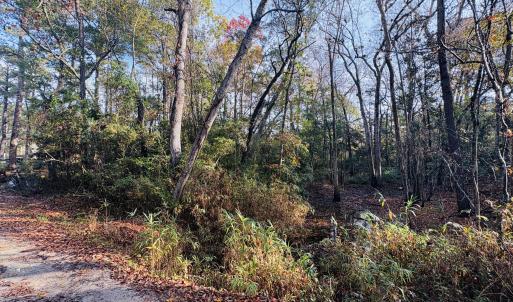 1574 Hollywood St. SW. Shallotte