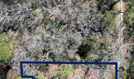 Approximate Lot Lines