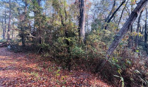 Front Elevation of Lot