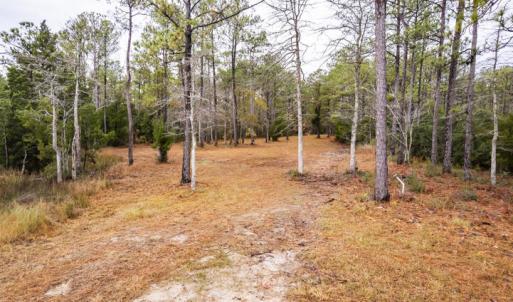 Homesite Ready to Build