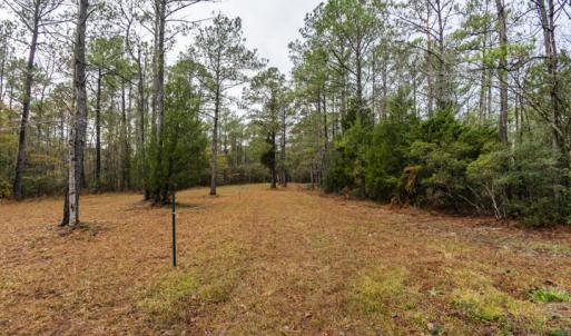 Drainfield for Septic