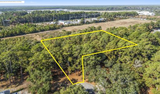 mls-DJI_20251126122701_0301_D-copy