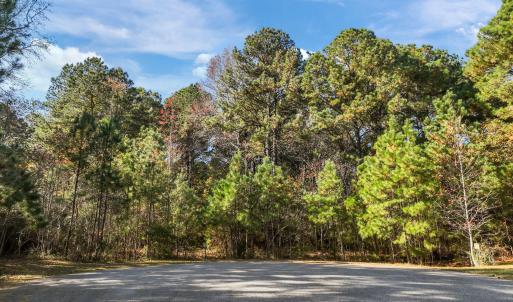 15-web-or-mls-DJI_0906