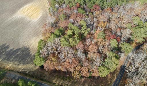 Aerial Top View