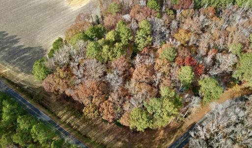 Aerial Top View