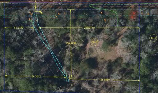 Lot 5 Wetlands Image