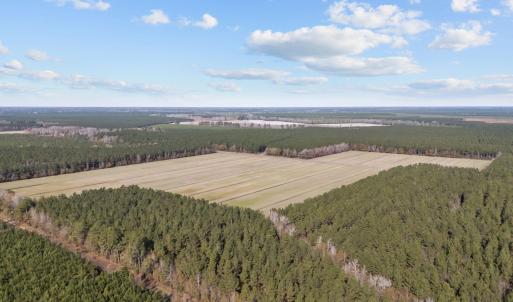 3-web-or-mls-DJI_20251011072535_0534_D