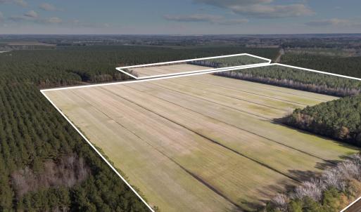 5-web-or-mls-DJI_20251011072421_0533_D_1