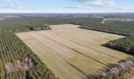 2-web-or-mls-DJI_20251011072421_0533_D