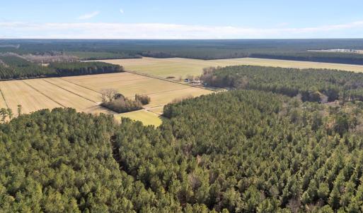 2-web-or-mls-DJI_20251011071452_0528_D