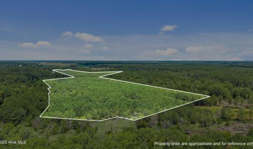 14-web-or-mls-DJI_20250711115032_0014_D_