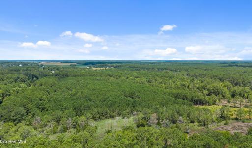 5-web-or-mls-DJI_20250711115032_0014_D