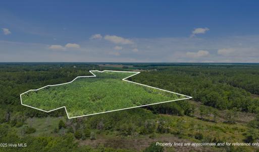 15-web-or-mls-DJI_20250711115055_0015_D_