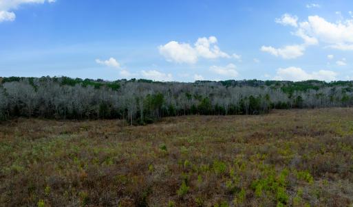 Parcel ID 07E07015 MLS-34