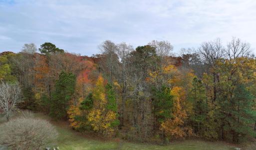 DJI_20251120120725_0421_D