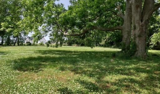 IMG_20230523_120002478_HDR