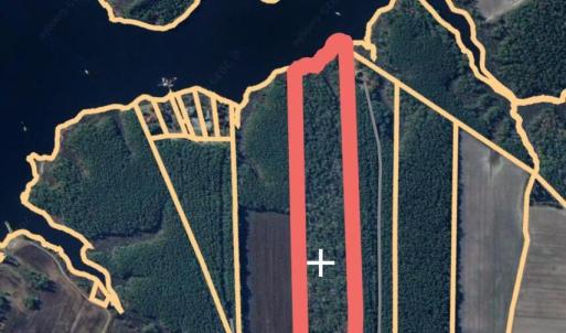 Screenshot 2025-05-01 at 12.27.08PM