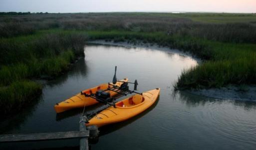 Exploring the estuaries