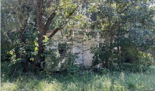 Screen Shot 2024-10-09 at 9.22.28 AM