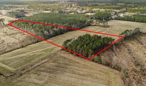 DJI_20251203123313_0038_D copy