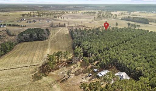 DJI_20251203123516_0053_D 2copy