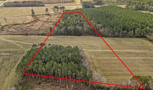 DJI_20251203123413_0044_D copy