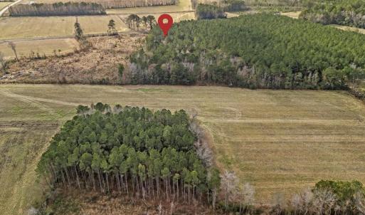 DJI_20251203123413_0044_D 2copy